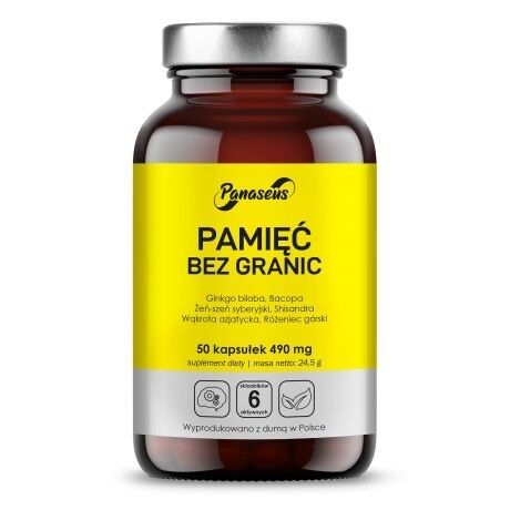 PANASEUS Paměť bez hranic (50 kapslí) – Viking Supplements