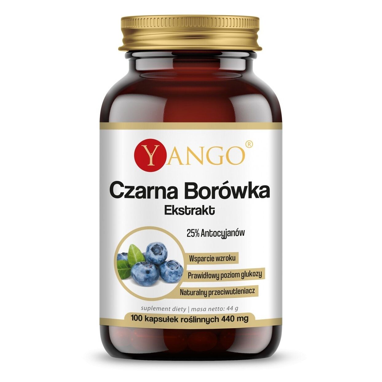 YANGO Černý borůvkový extrakt (100 kapslí) – Viking Supplements