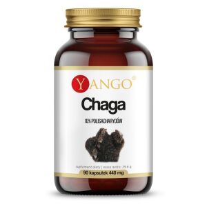 YANGO Chaga – 10% (90 kapslí) – Viking Supplements