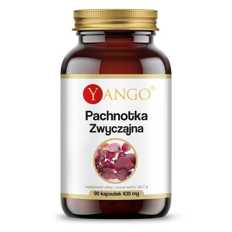 YANGO Perilla Frutescens (90 kapslí) – Viking Supplements